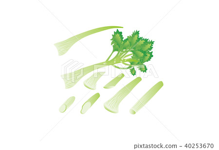 切蔬菜芹菜 切蔬菜芹菜 40253670