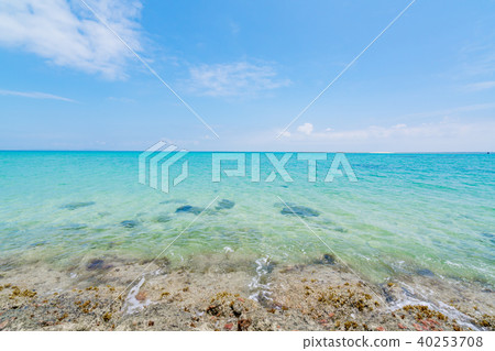 [沖繩縣]海圖像 40253708