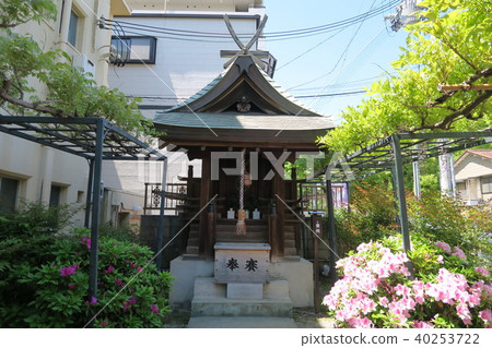 Noda Fuji of Kasuga Shrine Noda Fuji of Kasuga Shrine 40253722