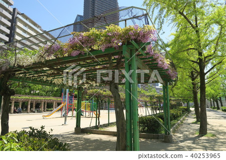 Noda Fuji of Shimo-Fukushima Park Noda Fuji of Shimo-Fukushima Park 40253965