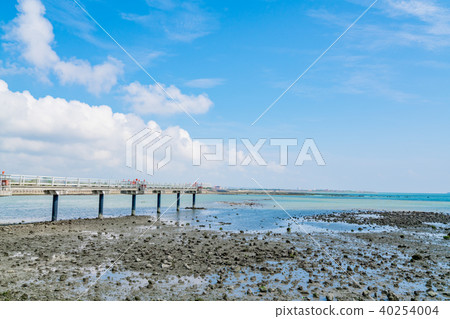 [Okinawa Prefecture] Nankoku Beach 40254004