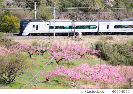Chuo Line E 353限量特快超級梓穿過桃花新福小泉 40254053
