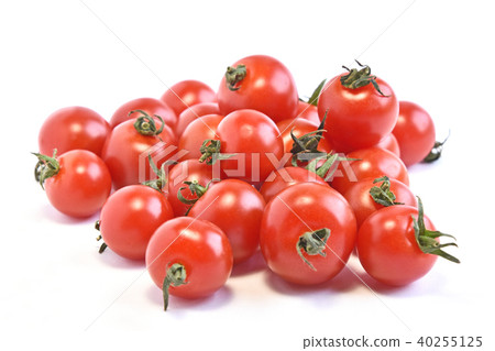 Mini Tomato Mini Tomato 40255125