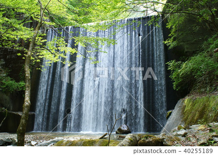 Mountain stream Mountain stream 40255189