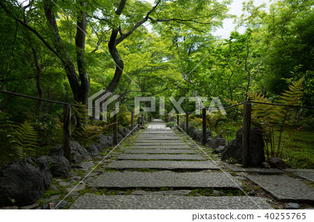 寶藏屋的花園 寶藏屋的花園 40255765