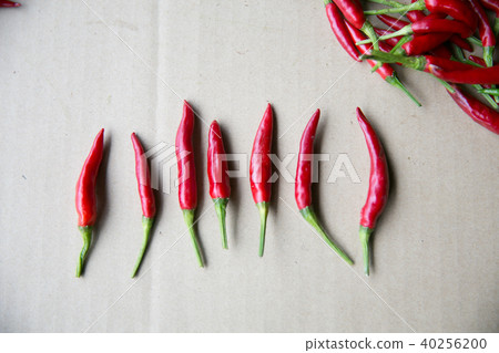 Harvest of red pepper Harvest of red pepper 40256200
