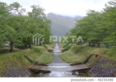 River after the rain River after the rain 40256366