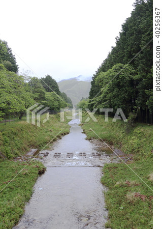 Fresh green of rain Fresh green of rain 40256367
