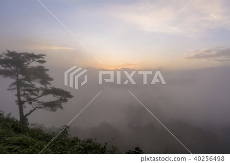 The sea of clouds in Kunimigaoka 40256498