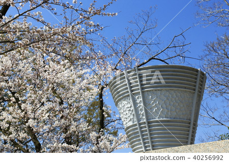 Scenery of Toda City, Saitama Prefecture Toda Boat Course Torch Sakura Scenery of Toda City, Saitama Prefecture Toda Boat Course Torch Sakura 40256992