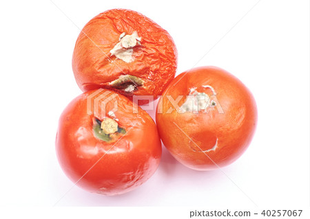 Molded red tomato, isolated on Molded red tomato, isolated on 40257067
