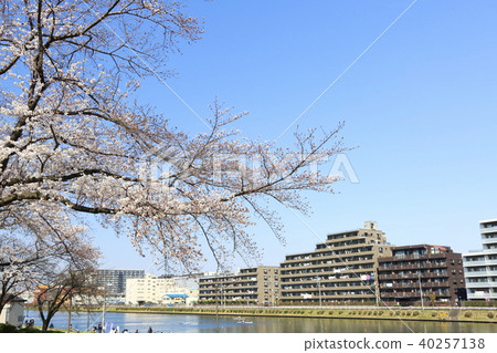 Scenery of Toda City, Saitama Prefecture Toda Park Boat Course Scenery of Toda City, Saitama Prefecture Toda Park Boat Course 40257138