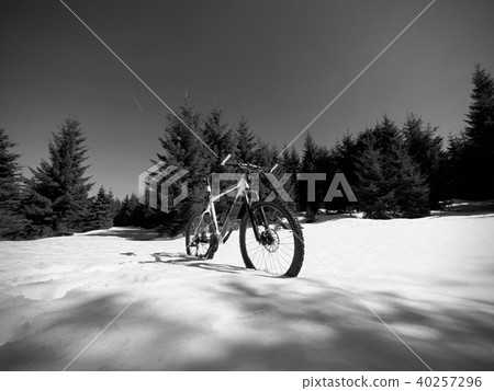 Cycling in winter snow on large tire wheels, mtb Cycling in winter snow on large tire wheels, mtb 40257296