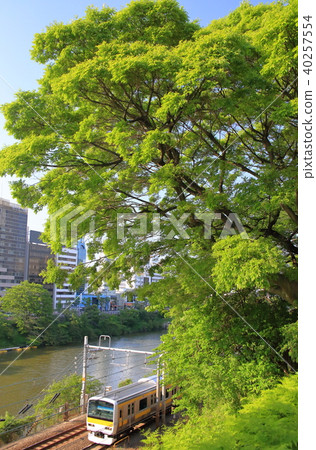 外護城河的新鮮綠色和中央和Sobu Rake線 外護城河的新鮮綠色和中央和Sobu Rake線 40257554