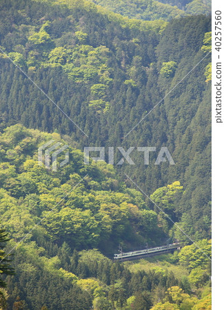 西武新聞線和新鮮的綠色 40257560