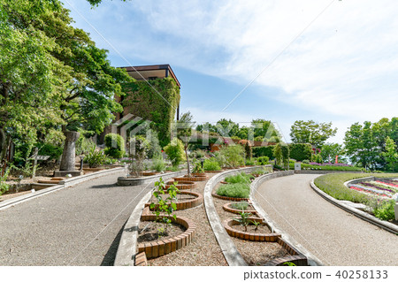 Fukuoka City Botanical Garden 40258133