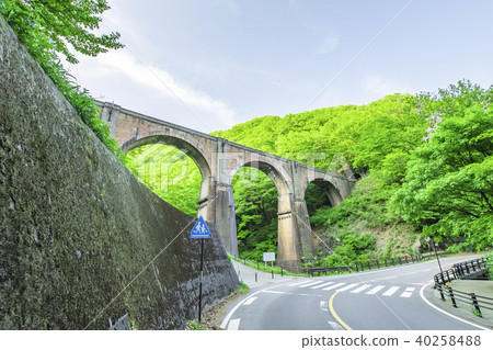 Eye bridge and eyebrow 40258488