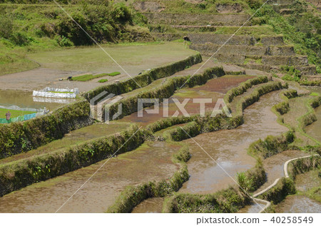 Terraced fields in Cambro 40258549