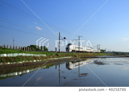 稻田和651系統 40258780