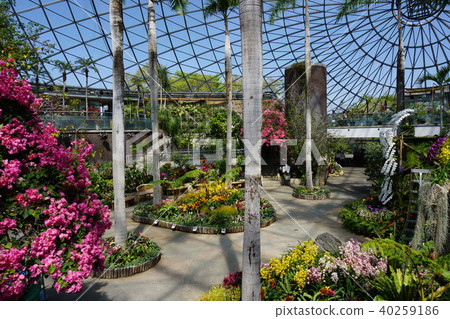 Japan's Largest Flower Park "Totori Flower Corridor": Landscape in the Flower Dome Japan's Largest Flower Park "Totori Flower Corridor": Landscape in the Flower Dome 40259186