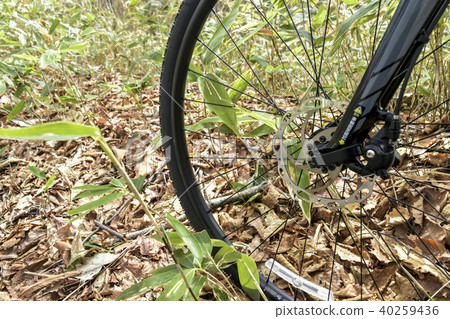 Off road bicycle 40259436