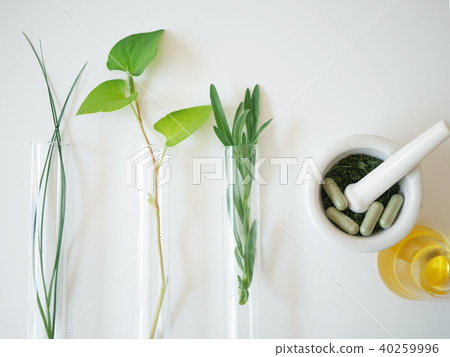 alternative medicine herb alternative medicine herb 40259996