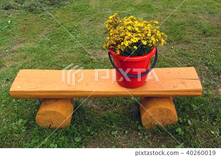 Red bucket with wild medical St Johns wort flowers 40260019