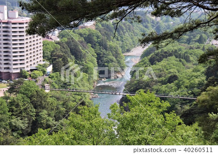 Kinu Kureiwa Large Suspension Bridge seen from Kashiwa Observatory 40260511