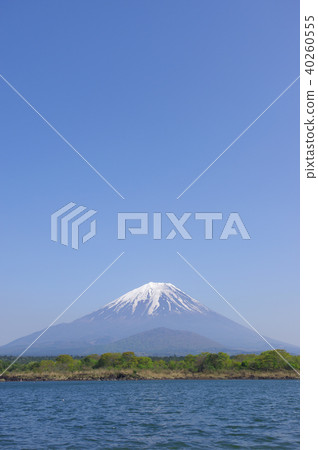 Mount Fuji from Lake Shoin Mount Fuji from Lake Shoin 40260555
