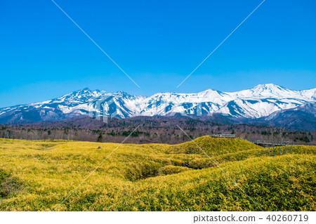 Shiretoko in spring (Shiretoko 5 Hu) 40260719