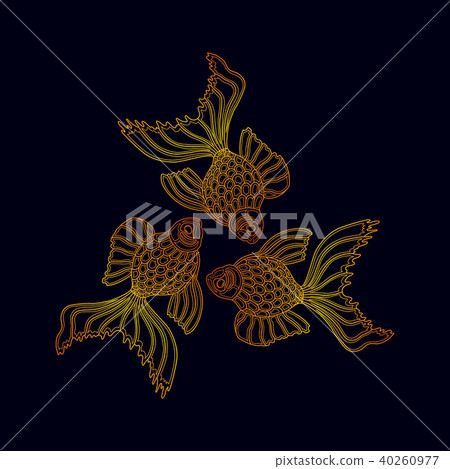 Vector illustration of three golden gold fishes Vector illustration of three golden gold fishes 40260977