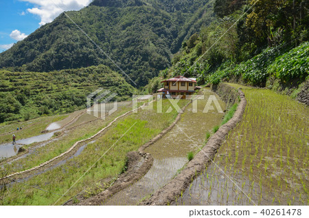 Terraced fields in Cambro 40261478