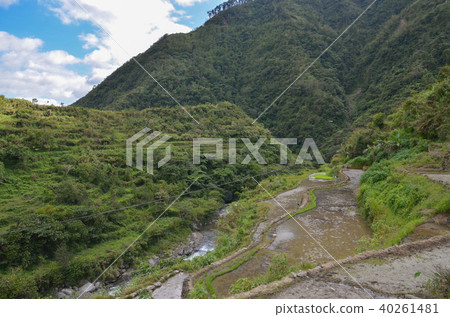 坎布羅的梯田 40261481