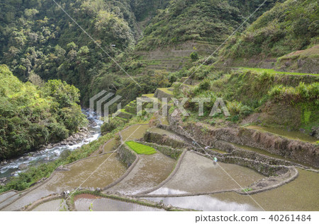 坎布羅的梯田 40261484