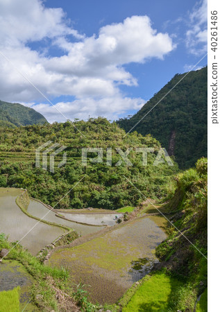 Terraced fields in Cambro 40261486