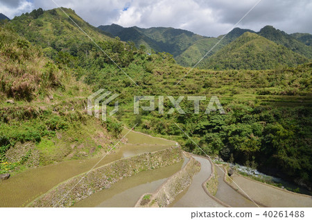 Terraced fields in Cambro 40261488