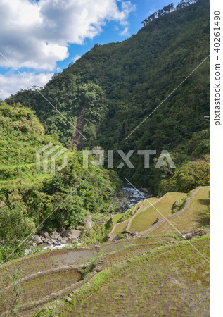 Terraced fields in Cambro 40261490