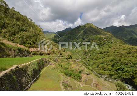 坎布羅的梯田 40261491