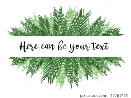Watercolor vector illustration with tropical palm Watercolor vector illustration with tropical palm 40261705