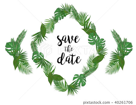Tropical Vector Illustration with place for your Tropical Vector Illustration with place for your 40261706