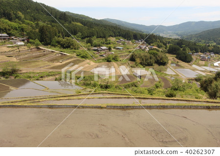Slope rice terrace Slope rice terrace 40262307