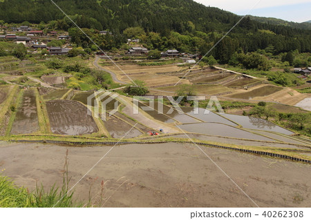 Slope rice terrace Slope rice terrace 40262308