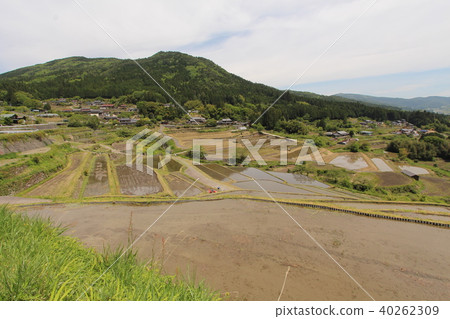 Slope rice terrace Slope rice terrace 40262309