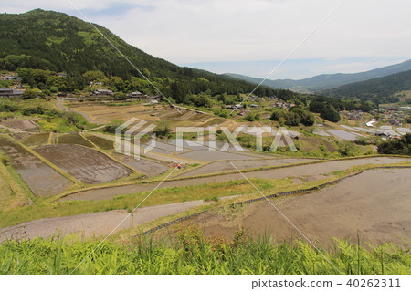 Slope rice terrace Slope rice terrace 40262311