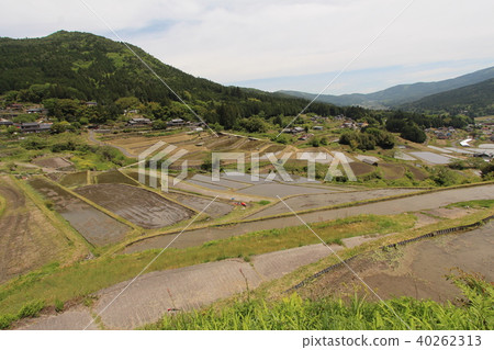 Slope rice terrace 40262313