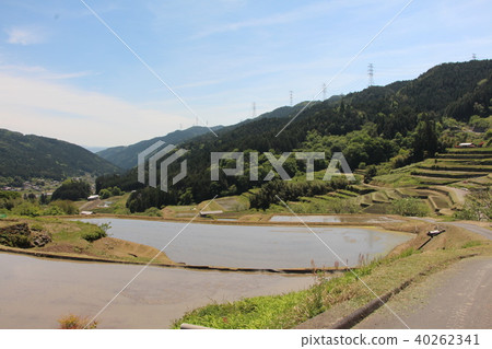 Slope rice terrace Slope rice terrace 40262341