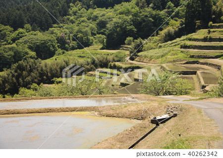 Slope rice terrace Slope rice terrace 40262342