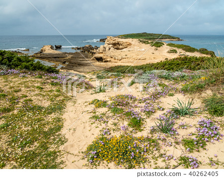 West coast of Sardinia, Italy 40262405