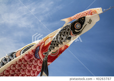    Carp streamer 40263787