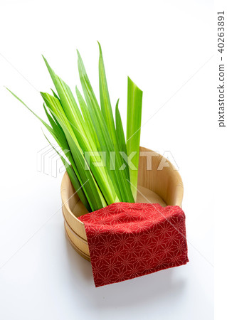 兒童節的Shoyu熱水 40263891